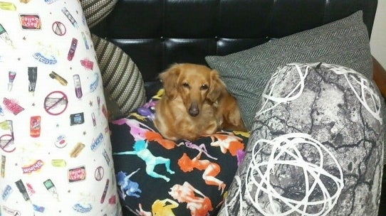 鉄　は　熱　い　う　ち　に　打　て　　　　　　(*ﾟ∀ﾟ)=3ﾑｯﾊｰ