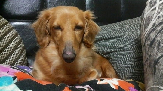 鉄　は　熱　い　う　ち　に　打　て　　　　　　(*ﾟ∀ﾟ)=3ﾑｯﾊｰ