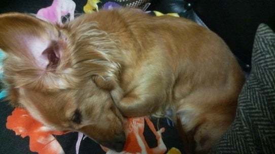 鉄　は　熱　い　う　ち　に　打　て　　　　　　(*ﾟ∀ﾟ)=3ﾑｯﾊｰ