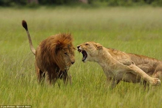 鉄　は　熱　い　う　ち　に　打　て　　　　　　(*ﾟ∀ﾟ)=3ﾑｯﾊｰ