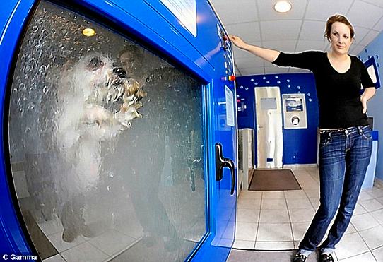 鉄　は　熱　い　う　ち　に　打　て　　　　　　(*ﾟ∀ﾟ)=3ﾑｯﾊｰ