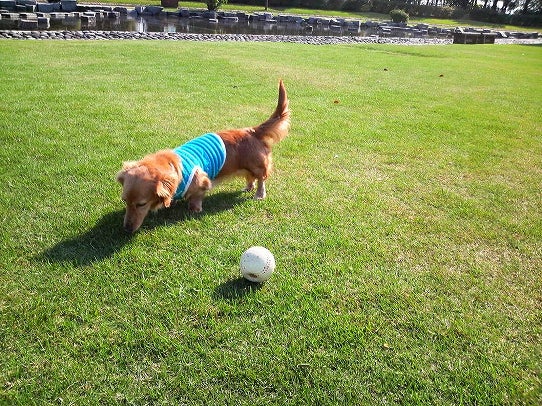 鉄　は　熱　い　う　ち　に　打　て　　　　　　(*ﾟ∀ﾟ)=3ﾑｯﾊｰ