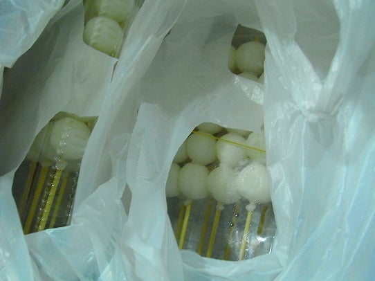 鉄　は　熱　い　う　ち　に　打　て　　　　　　(*ﾟ∀ﾟ)=3ﾑｯﾊｰ