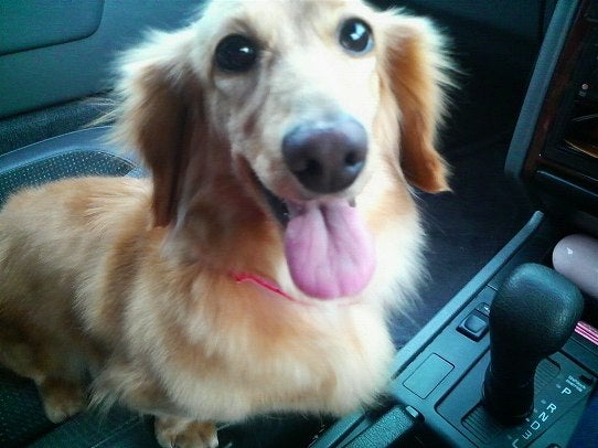 鉄　は　熱　い　う　ち　に　打　て　　　　　　(*ﾟ∀ﾟ)=3ﾑｯﾊｰ