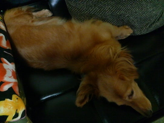 鉄　は　熱　い　う　ち　に　打　て　　　　　　(*ﾟ∀ﾟ)=3ﾑｯﾊｰ