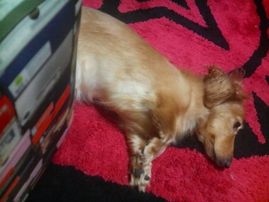 鉄　は　熱　い　う　ち　に　打　て　　　　　　(*ﾟ∀ﾟ)=3ﾑｯﾊｰ