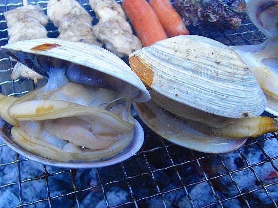 鉄　は　熱　い　う　ち　に　打　て　　　　　　(*ﾟ∀ﾟ)=3ﾑｯﾊｰ