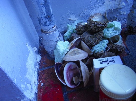 鉄　は　熱　い　う　ち　に　打　て　　　　　　(*ﾟ∀ﾟ)=3ﾑｯﾊｰ