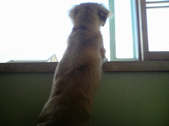 鉄　は　熱　い　う　ち　に　打　て　　　　　　(*ﾟ∀ﾟ)=3ﾑｯﾊｰ