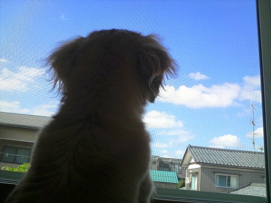 鉄　は　熱　い　う　ち　に　打　て　　　　　　(*ﾟ∀ﾟ)=3ﾑｯﾊｰ