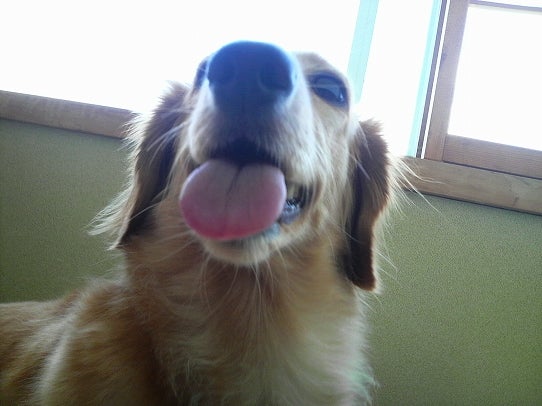 鉄　は　熱　い　う　ち　に　打　て　　　　　　(*ﾟ∀ﾟ)=3ﾑｯﾊｰ