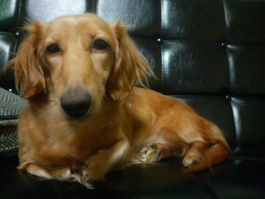 鉄　は　熱　い　う　ち　に　打　て　　　　　　(*ﾟ∀ﾟ)=3ﾑｯﾊｰ