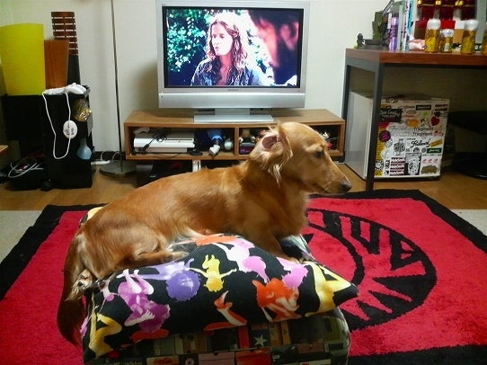 鉄　は　熱　い　う　ち　に　打　て　　　　　　(*ﾟ∀ﾟ)=3ﾑｯﾊｰ