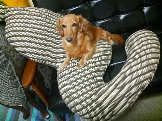 鉄　は　熱　い　う　ち　に　打　て　　　　　　(*ﾟ∀ﾟ)=3ﾑｯﾊｰ