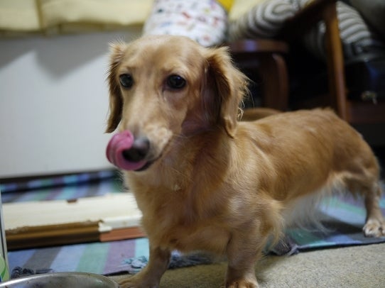 鉄　は　熱　い　う　ち　に　打　て　　　　　　(*ﾟ∀ﾟ)=3ﾑｯﾊｰ