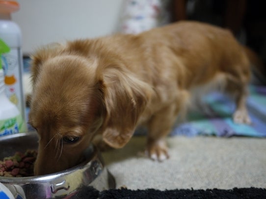 鉄　は　熱　い　う　ち　に　打　て　　　　　　(*ﾟ∀ﾟ)=3ﾑｯﾊｰ