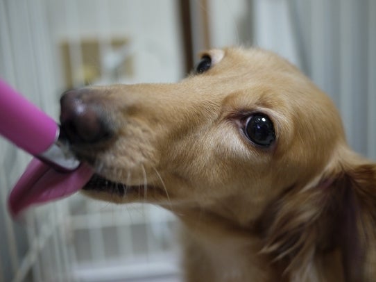 鉄　は　熱　い　う　ち　に　打　て　　　　　　(*ﾟ∀ﾟ)=3ﾑｯﾊｰ