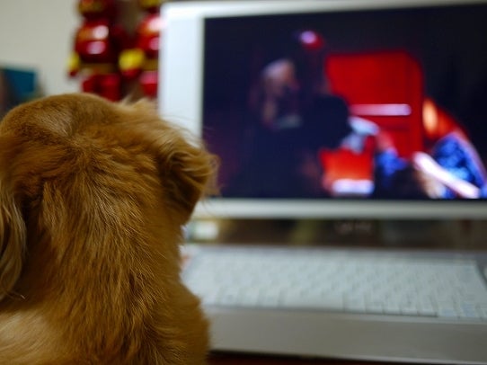 鉄　は　熱　い　う　ち　に　打　て　　　　　　(*ﾟ∀ﾟ)=3ﾑｯﾊｰ