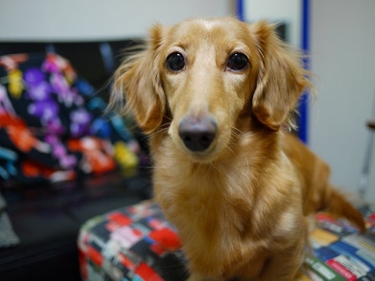 鉄　は　熱　い　う　ち　に　打　て　　　　　　(*ﾟ∀ﾟ)=3ﾑｯﾊｰ