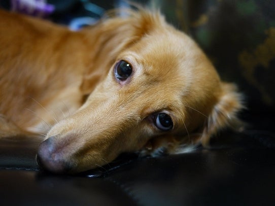 鉄　は　熱　い　う　ち　に　打　て　　　　　　(*ﾟ∀ﾟ)=3ﾑｯﾊｰ