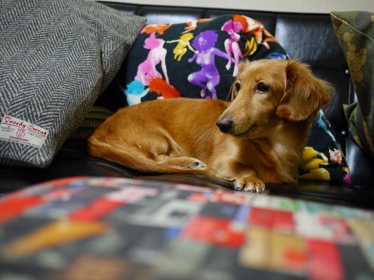 鉄　は　熱　い　う　ち　に　打　て　　　　　　(*ﾟ∀ﾟ)=3ﾑｯﾊｰ