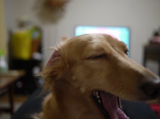 鉄　は　熱　い　う　ち　に　打　て　　　　　　(*ﾟ∀ﾟ)=3ﾑｯﾊｰ