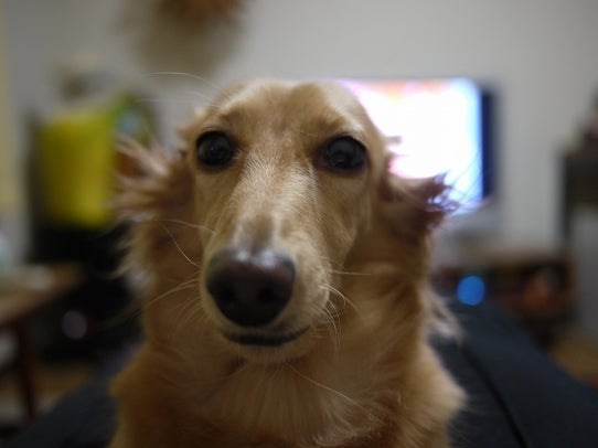 鉄　は　熱　い　う　ち　に　打　て　　　　　　(*ﾟ∀ﾟ)=3ﾑｯﾊｰ