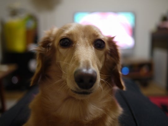 鉄　は　熱　い　う　ち　に　打　て　　　　　　(*ﾟ∀ﾟ)=3ﾑｯﾊｰ