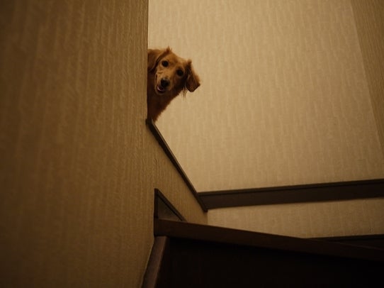 鉄　は　熱　い　う　ち　に　打　て　　　　　　(*ﾟ∀ﾟ)=3ﾑｯﾊｰ