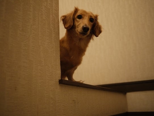 鉄　は　熱　い　う　ち　に　打　て　　　　　　(*ﾟ∀ﾟ)=3ﾑｯﾊｰ