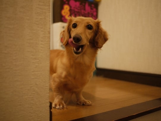 鉄　は　熱　い　う　ち　に　打　て　　　　　　(*ﾟ∀ﾟ)=3ﾑｯﾊｰ