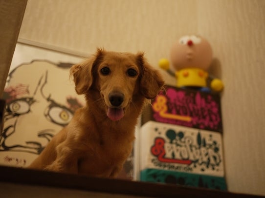 鉄　は　熱　い　う　ち　に　打　て　　　　　　(*ﾟ∀ﾟ)=3ﾑｯﾊｰ