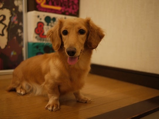 鉄　は　熱　い　う　ち　に　打　て　　　　　　(*ﾟ∀ﾟ)=3ﾑｯﾊｰ