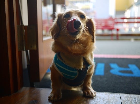 鉄　は　熱　い　う　ち　に　打　て　　　　　　(*ﾟ∀ﾟ)=3ﾑｯﾊｰ