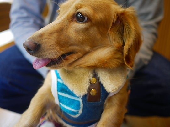 鉄　は　熱　い　う　ち　に　打　て　　　　　　(*ﾟ∀ﾟ)=3ﾑｯﾊｰ