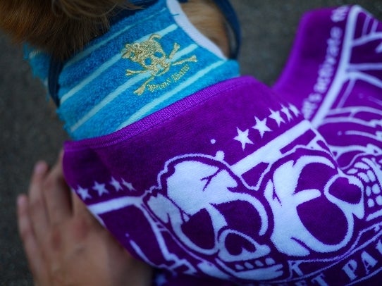 鉄　は　熱　い　う　ち　に　打　て　　　　　　(*ﾟ∀ﾟ)=3ﾑｯﾊｰ