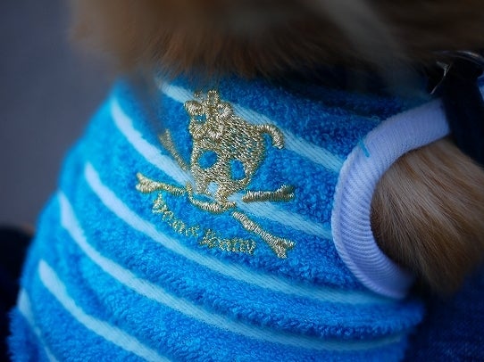 鉄　は　熱　い　う　ち　に　打　て　　　　　　(*ﾟ∀ﾟ)=3ﾑｯﾊｰ