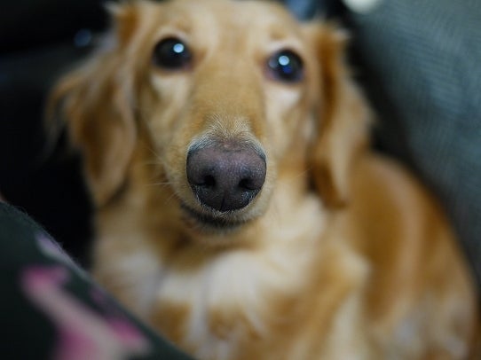 鉄　は　熱　い　う　ち　に　打　て　　　　　　(*ﾟ∀ﾟ)=3ﾑｯﾊｰ