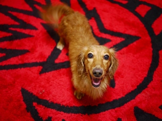 鉄　は　熱　い　う　ち　に　打　て　　　　　　(*ﾟ∀ﾟ)=3ﾑｯﾊｰ