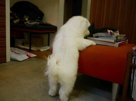 鉄　は　熱　い　う　ち　に　打　て　　　　　　(*ﾟ∀ﾟ)=3ﾑｯﾊｰ