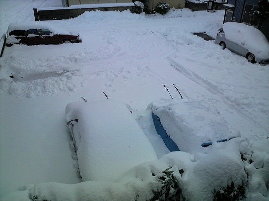 鉄　は　熱　い　う　ち　に　打　て　　　　　　(*ﾟ∀ﾟ)=3ﾑｯﾊｰ