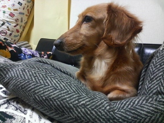 鉄　は　熱　い　う　ち　に　打　て　　　　　　(*ﾟ∀ﾟ)=3ﾑｯﾊｰ