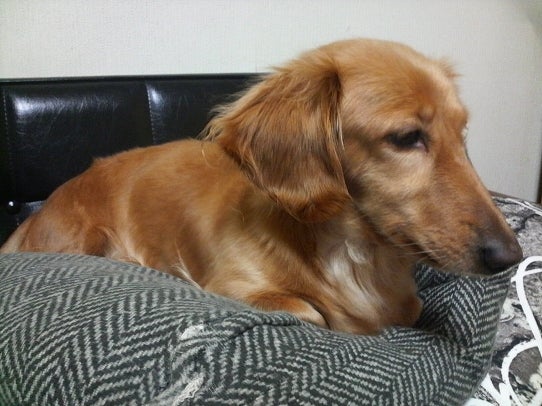 鉄　は　熱　い　う　ち　に　打　て　　　　　　(*ﾟ∀ﾟ)=3ﾑｯﾊｰ