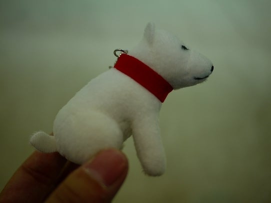 鉄　は　熱　い　う　ち　に　打　て　　　　　　(*ﾟ∀ﾟ)=3ﾑｯﾊｰ