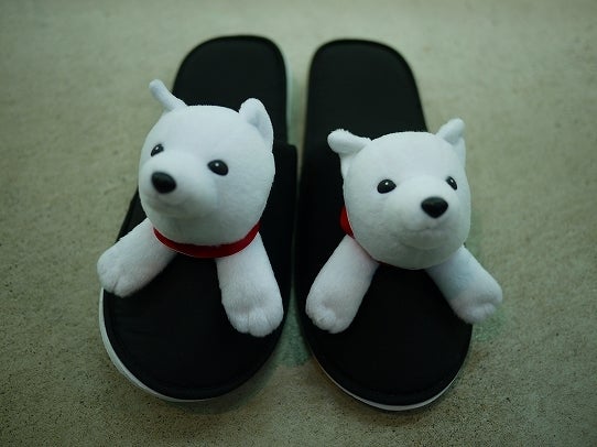 鉄　は　熱　い　う　ち　に　打　て　　　　　　(*ﾟ∀ﾟ)=3ﾑｯﾊｰ