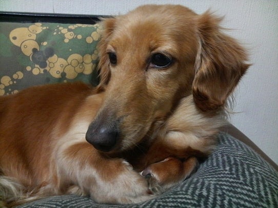 鉄　は　熱　い　う　ち　に　打　て　　　　　　(*ﾟ∀ﾟ)=3ﾑｯﾊｰ