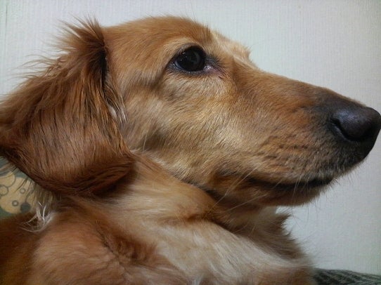 鉄　は　熱　い　う　ち　に　打　て　　　　　　(*ﾟ∀ﾟ)=3ﾑｯﾊｰ