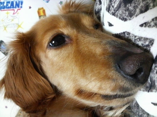 鉄　は　熱　い　う　ち　に　打　て　　　　　　(*ﾟ∀ﾟ)=3ﾑｯﾊｰ