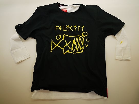 鉄　は　熱　い　う　ち　に　打　て　　　　　　(*ﾟ∀ﾟ)=3ﾑｯﾊｰ