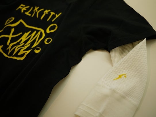 鉄　は　熱　い　う　ち　に　打　て　　　　　　(*ﾟ∀ﾟ)=3ﾑｯﾊｰ